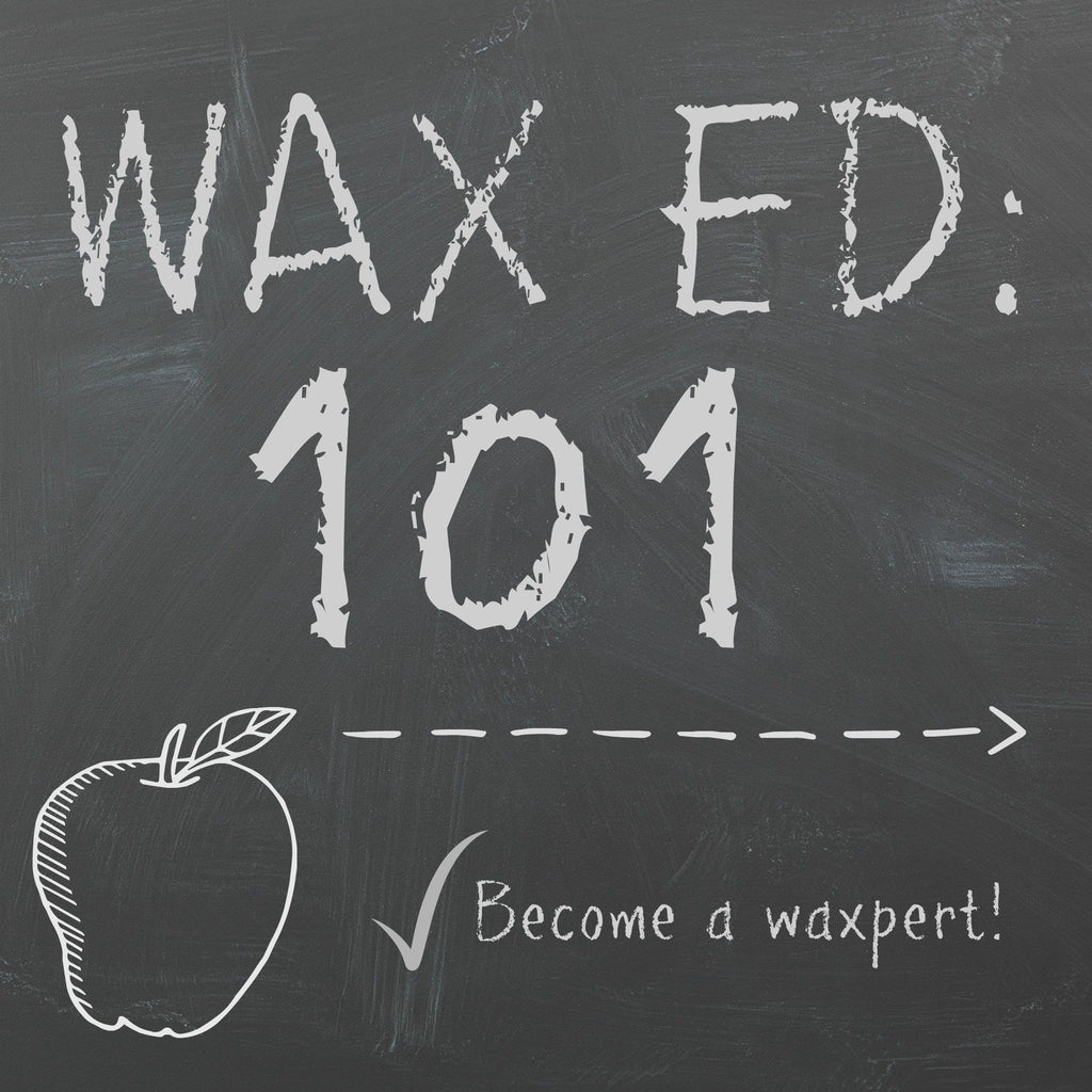 Wax Ed 101: Become a Waxpert!